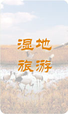 湿地旅游