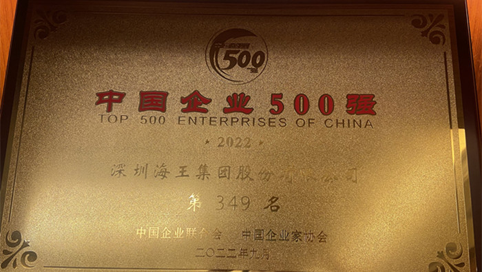 尊龙凯时 - 人生就是搏!集团位列2022中国企业500强第349位、2022中国民营企业500强第155位 