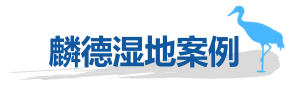 尊龙凯时 - 人生就是搏!案例