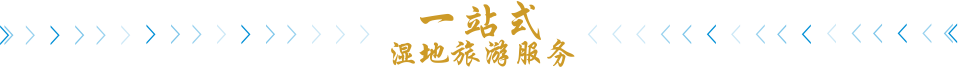 一站式湿地旅游服务
