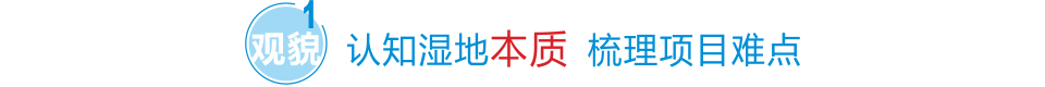 认知湿地本质 梳理项目难点